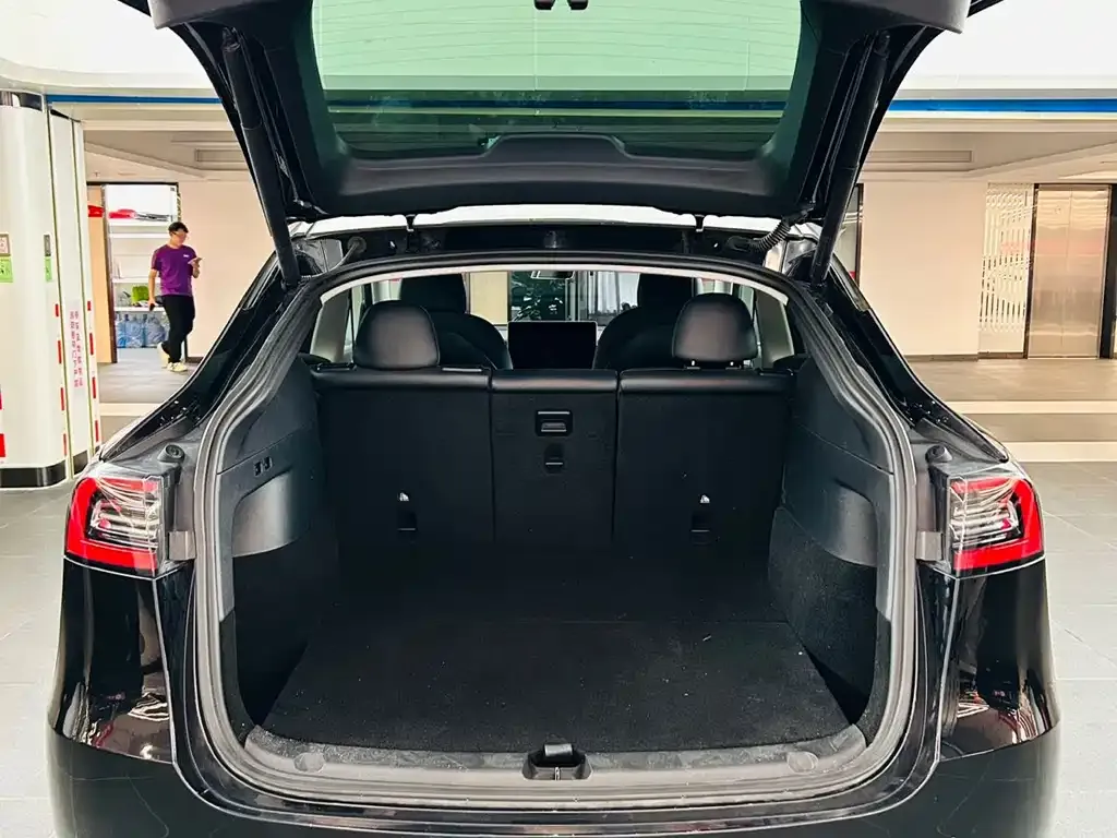 [object Object] Model Y 2021 из CN, фото 8