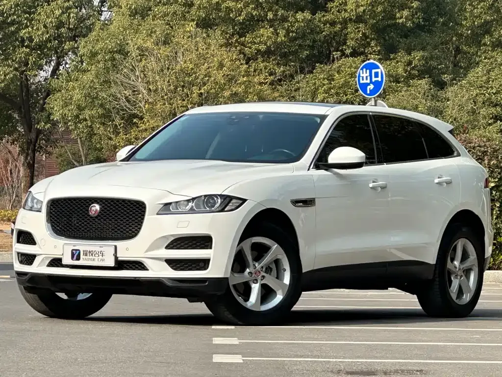 Jaguar F-PACE 2021 из CN, фото 1