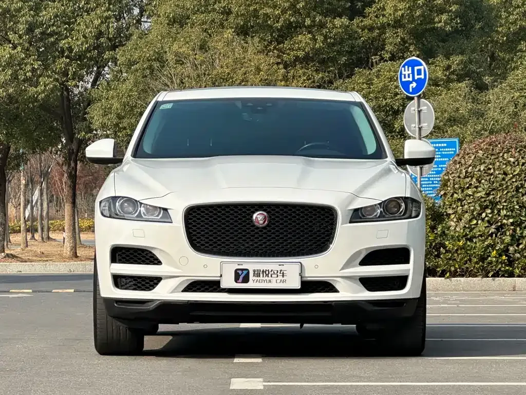 Jaguar F-PACE 2021 из CN, фото 2