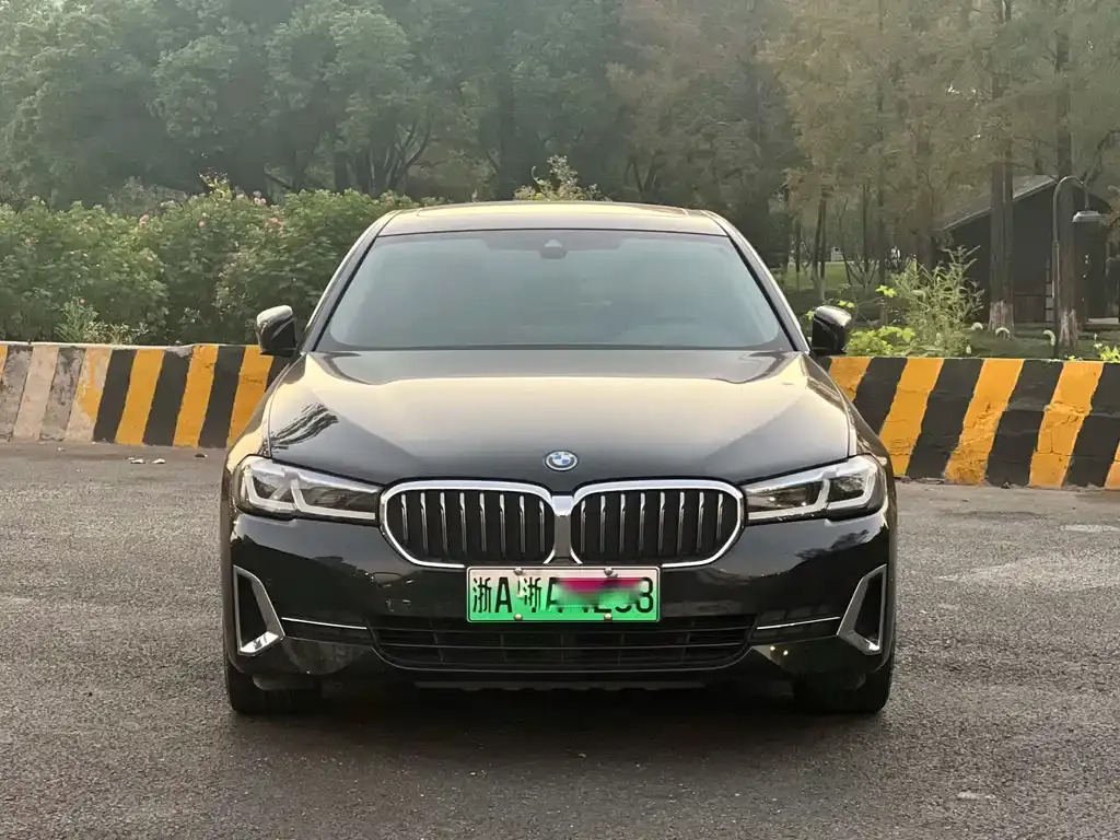 BMW 5 Series New Energy 2022 из CN, фото 2