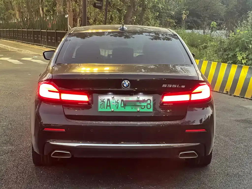 BMW 5 Series New Energy 2022 из CN, фото 6