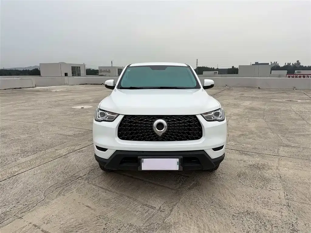 Great Wall Pao 2022 из CN, фото 2