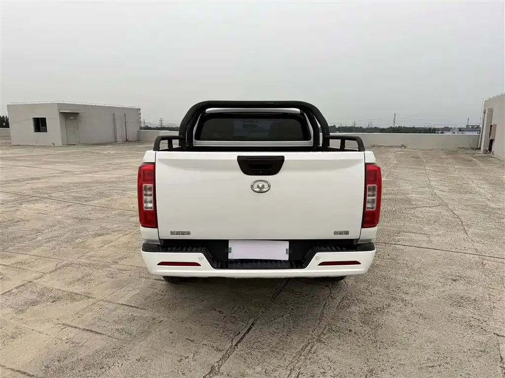 Great Wall Pao 2022 из CN, фото 8