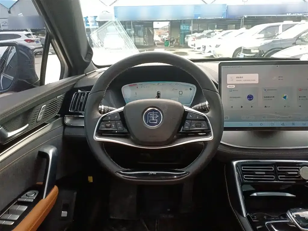 BYD Tang New Energy 2022 из CN, фото 10