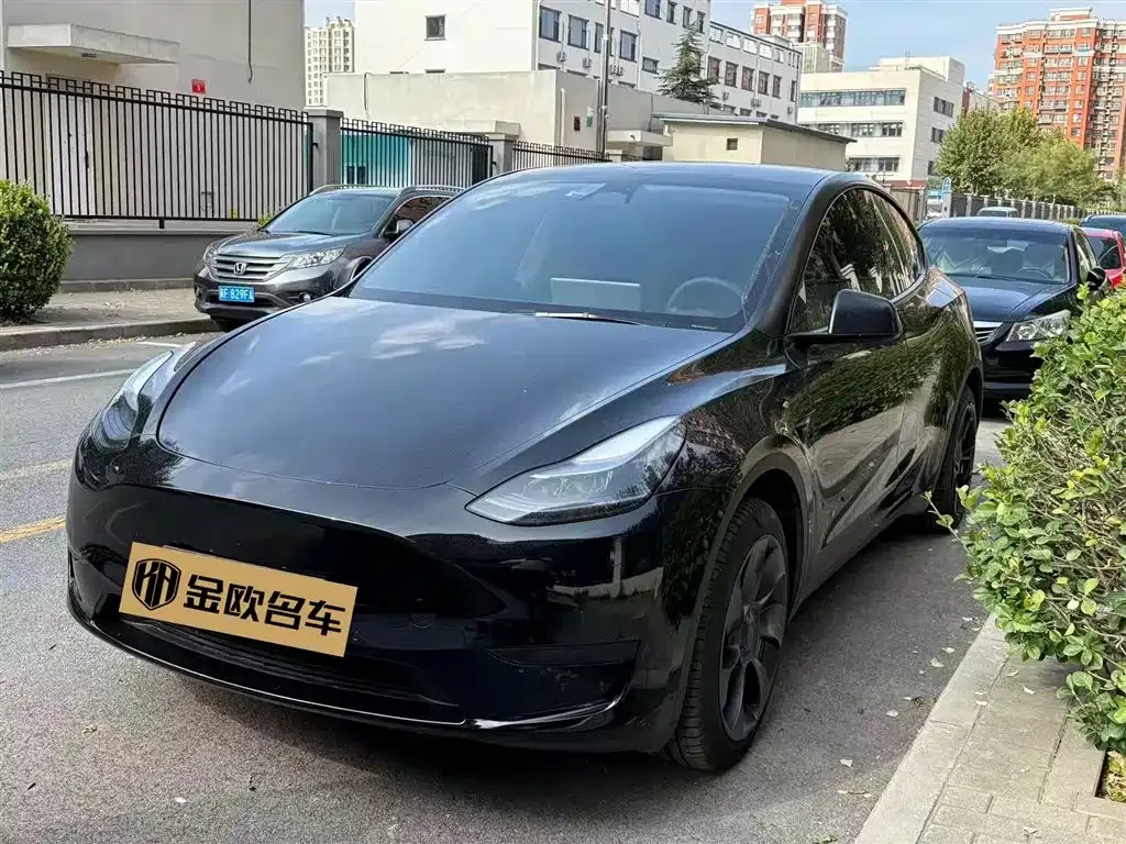 Tesla Model Y 2023 из CN, фото 1