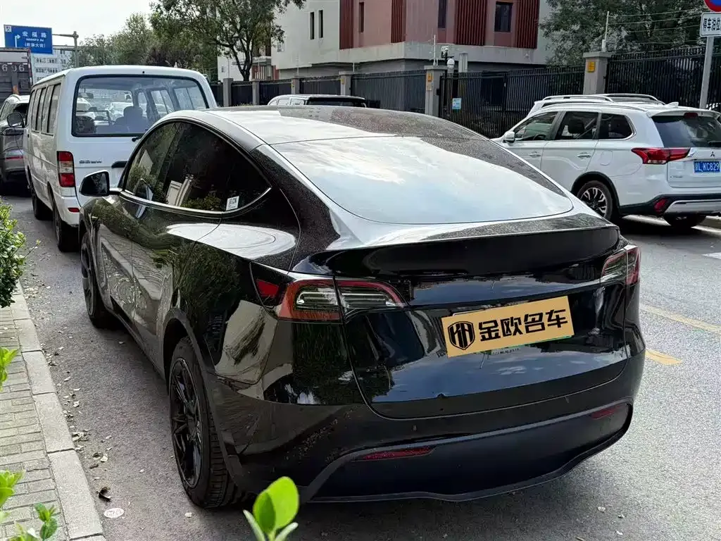Tesla Model Y 2023 из CN, фото 4