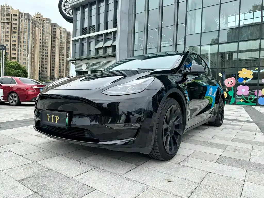 Tesla Model Y — фото 10