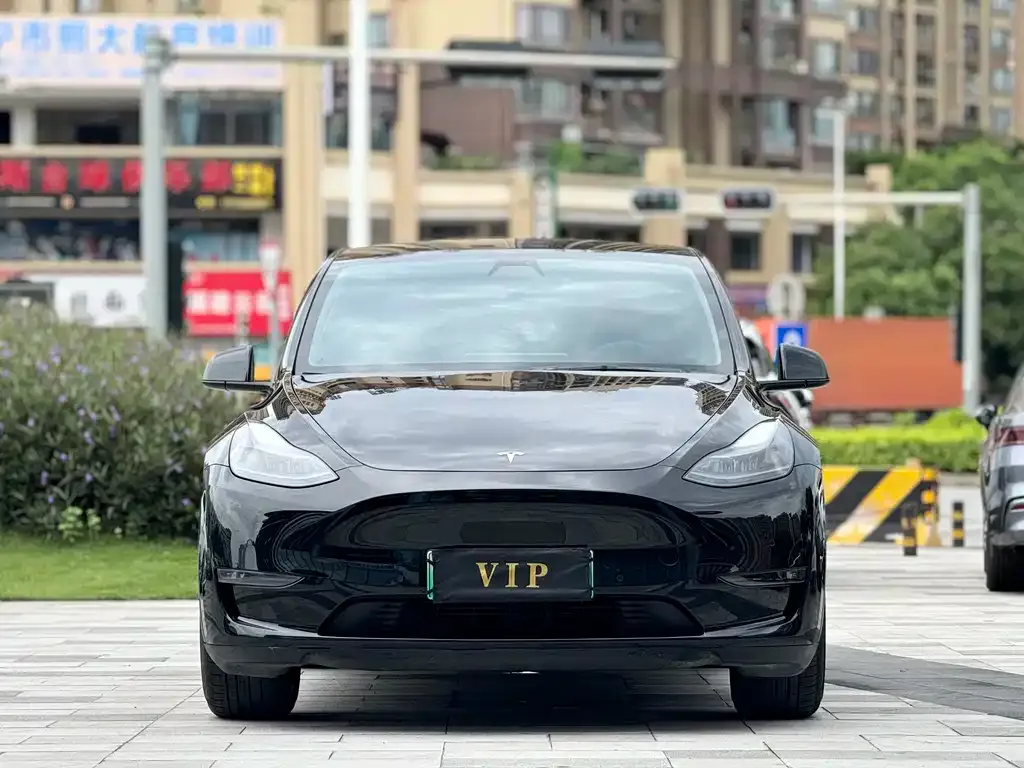 Tesla Model Y — фото 2