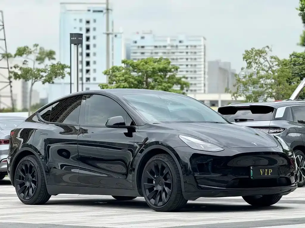 Tesla Model Y — фото 3