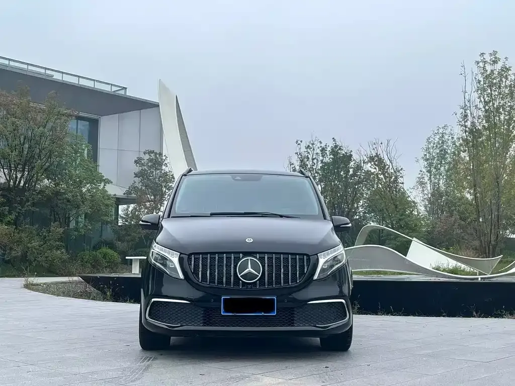 Mercedes-Benz V-Class 2021 из CN, фото 2