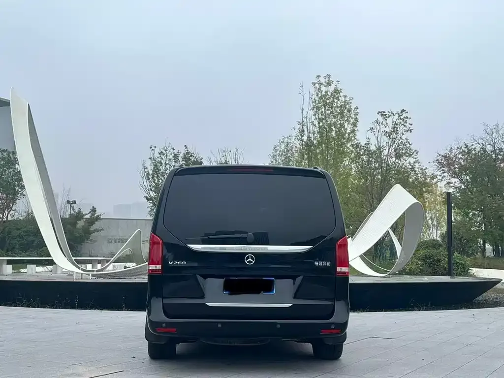 Mercedes-Benz V-Class 2021 из CN, фото 7