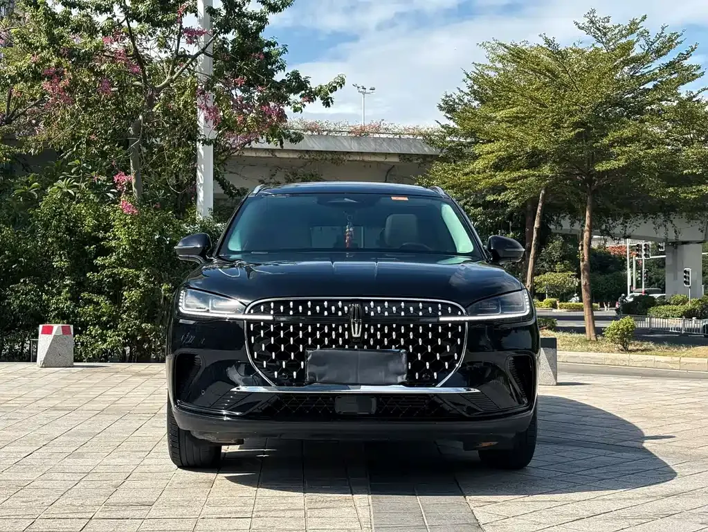 Lincoln Corsair 2023 из CN, фото 2
