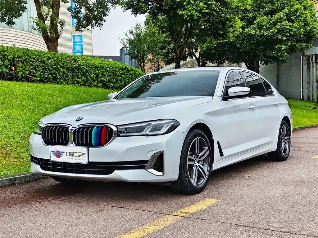 BMW 5 Series 2021 из CN, фото 1