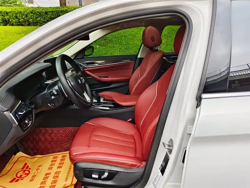 BMW 5 Series 2021 из CN, фото 10