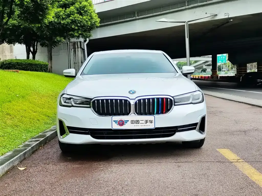 BMW 5 Series 2021 из CN, фото 2