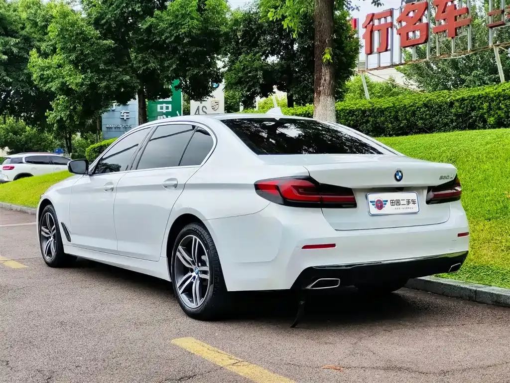 BMW 5 Series 2021 из CN, фото 4