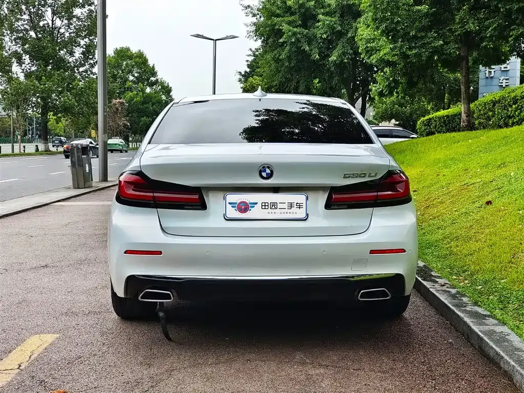 BMW 5 Series 2021 из CN, фото 5