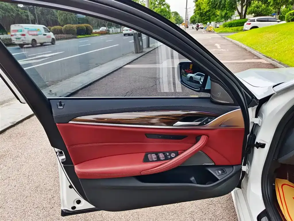BMW 5 Series 2021 из CN, фото 6
