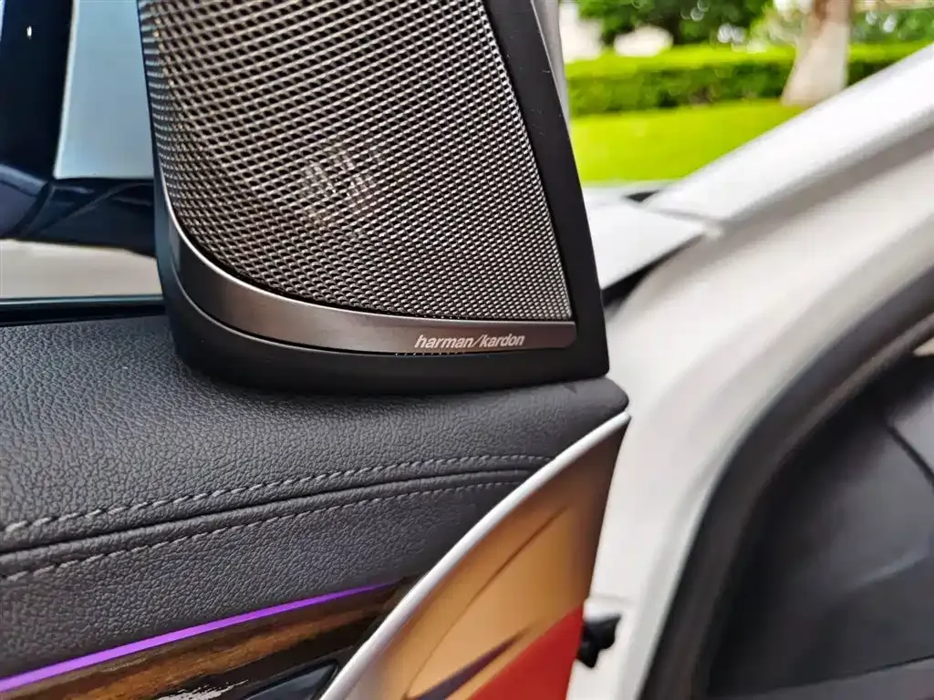 BMW 5 Series 2021 из CN, фото 7