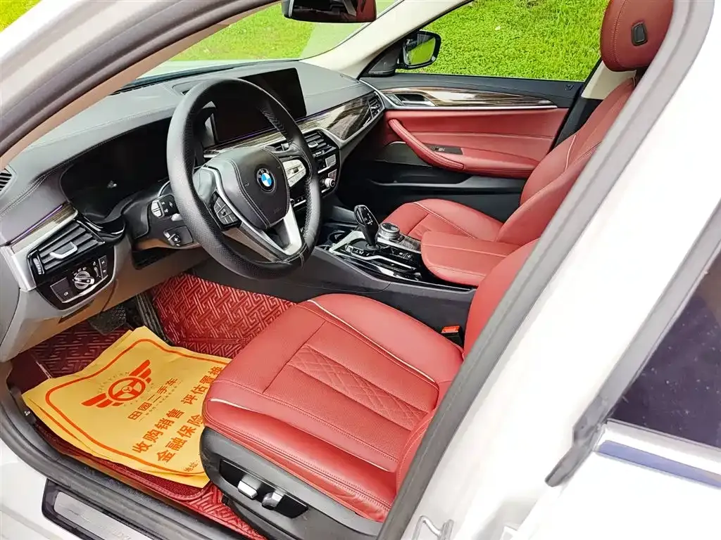 BMW 5 Series 2021 из CN, фото 8