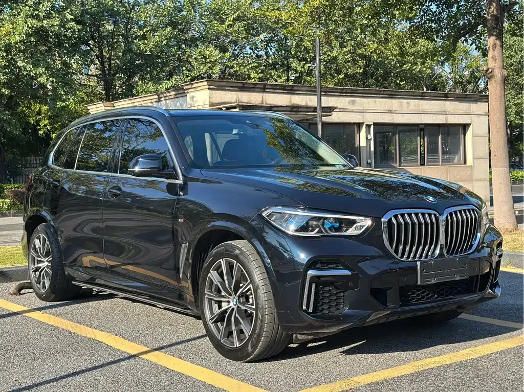 BMW X5 — фото 3