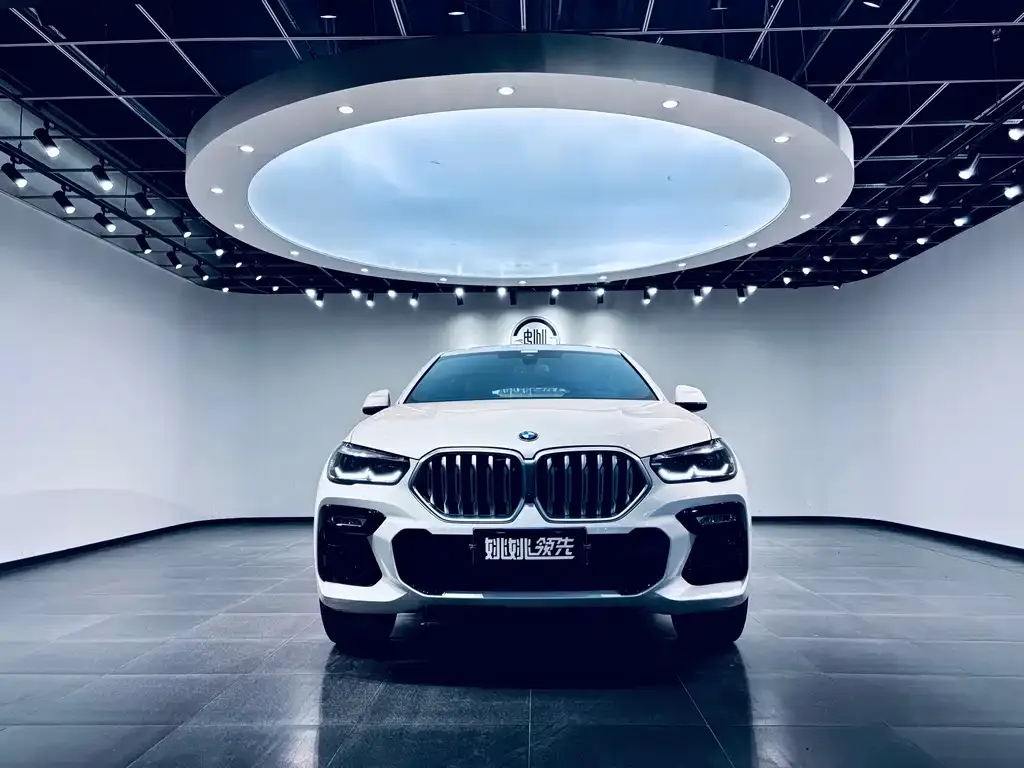 BMW X6 2021 из CN, фото 2