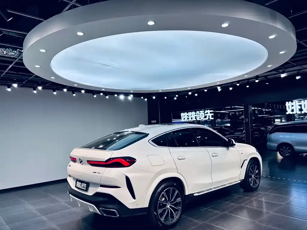 BMW X6 2021 из CN, фото 3