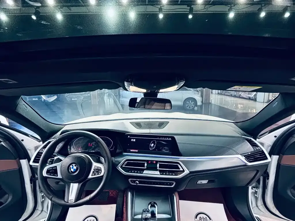BMW X6 2021 из CN, фото 4