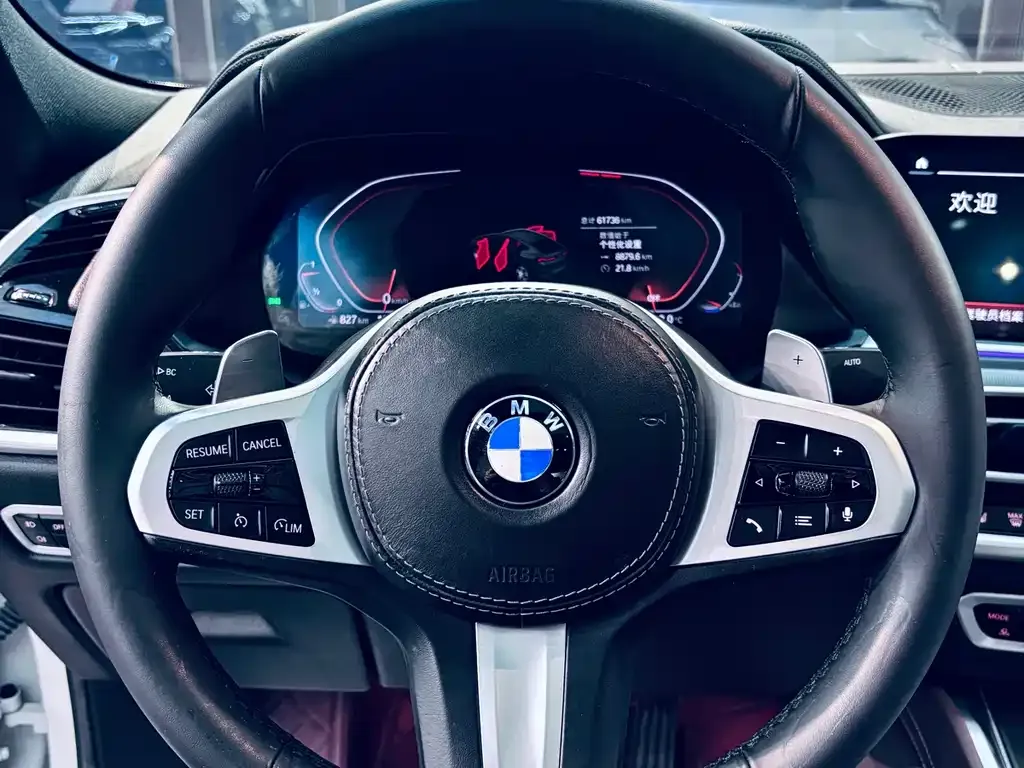 BMW X6 2021 из CN, фото 5