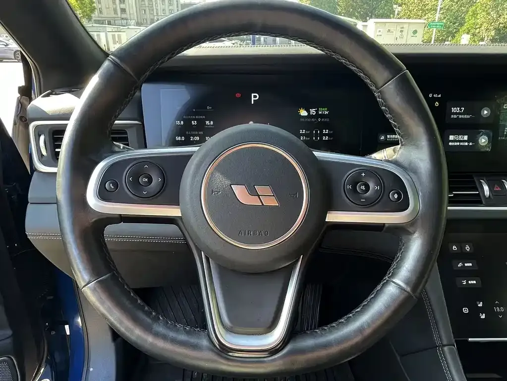 Li Auto ONE 2021 из CN, фото 6
