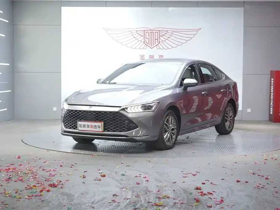 BYD Qin PLUS 2024 из CN, фото 1