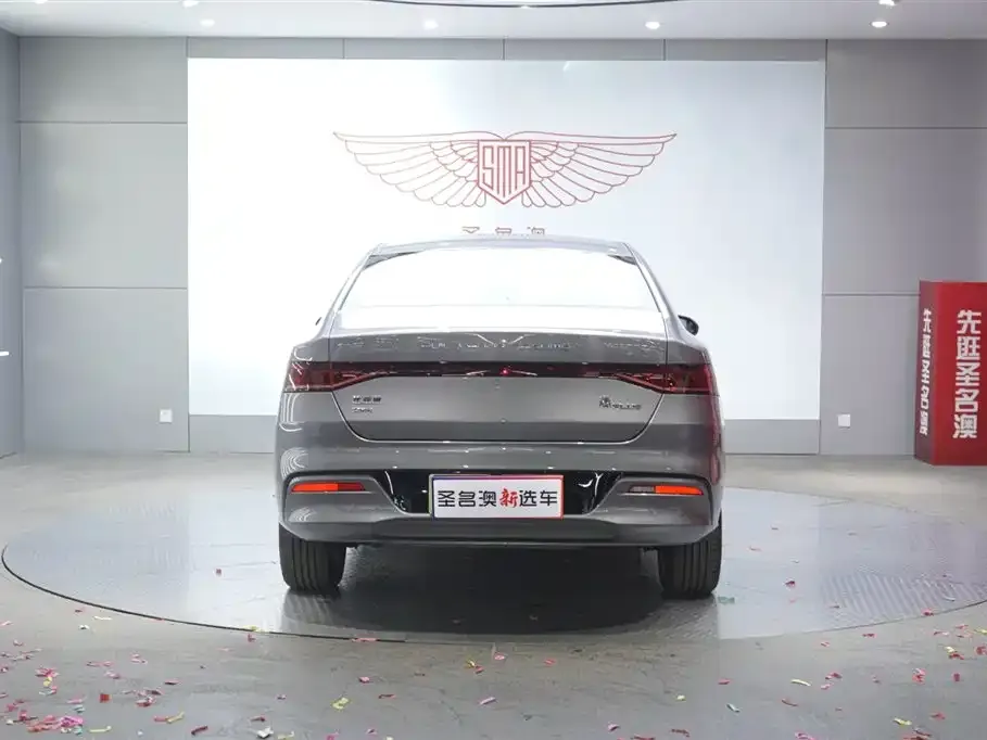 BYD Qin PLUS 2024 из CN, фото 5