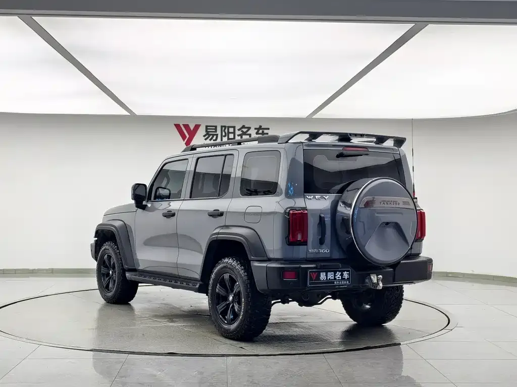 [object Object] Tank 300 2021 из CN, фото 7