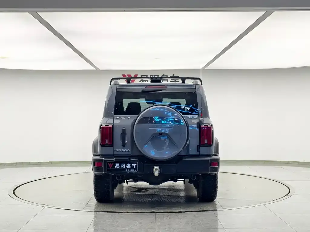 [object Object] Tank 300 2021 из CN, фото 8