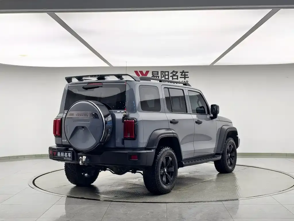 [object Object] Tank 300 2021 из CN, фото 9