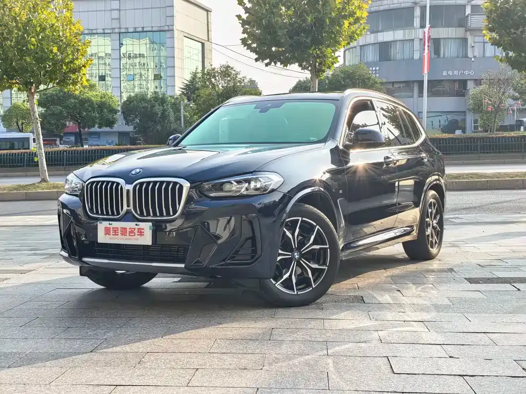 BMW X3 — фото 1