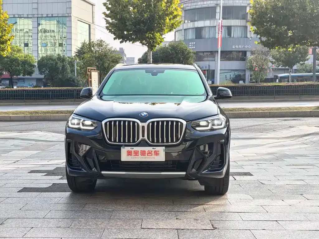BMW X3 — фото 2