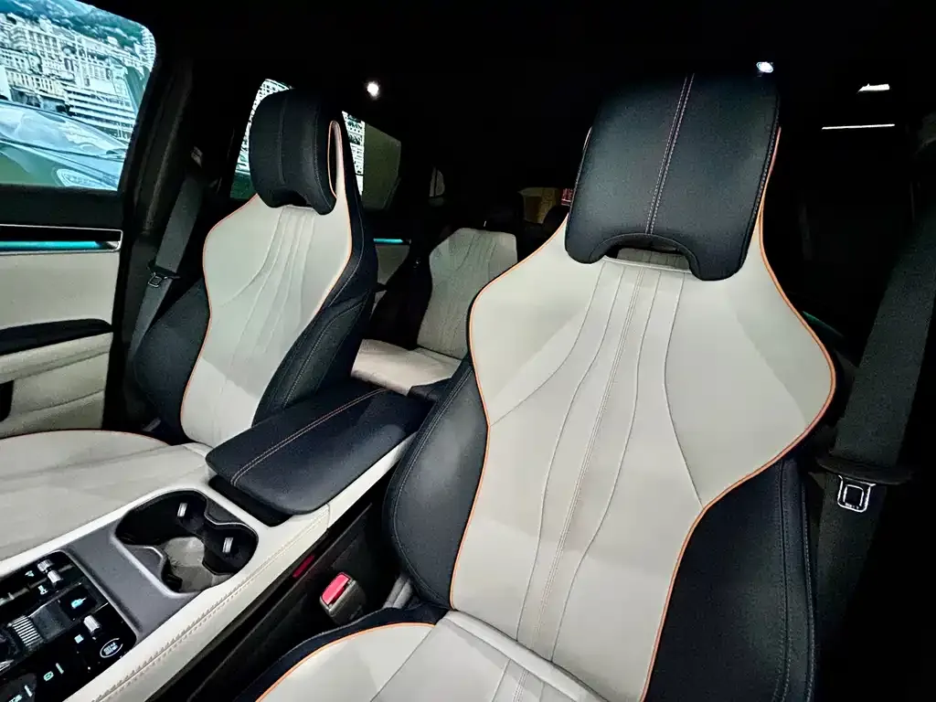 BYD PLUS New Energy 2023 из CN, фото 10