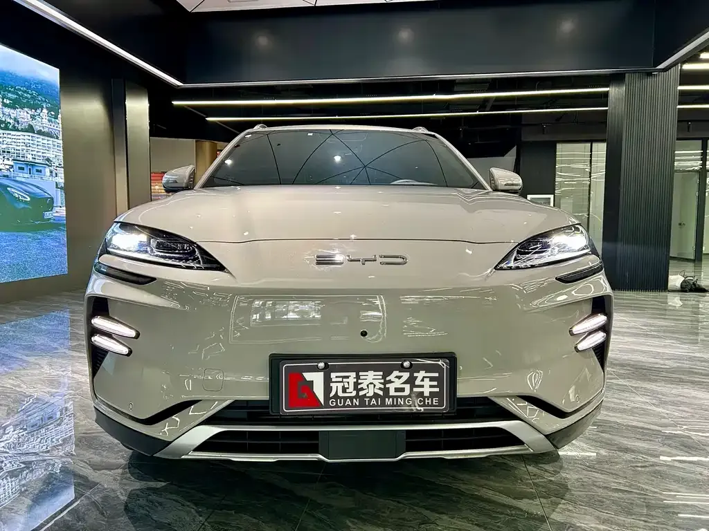 BYD PLUS New Energy 2023 из CN, фото 2