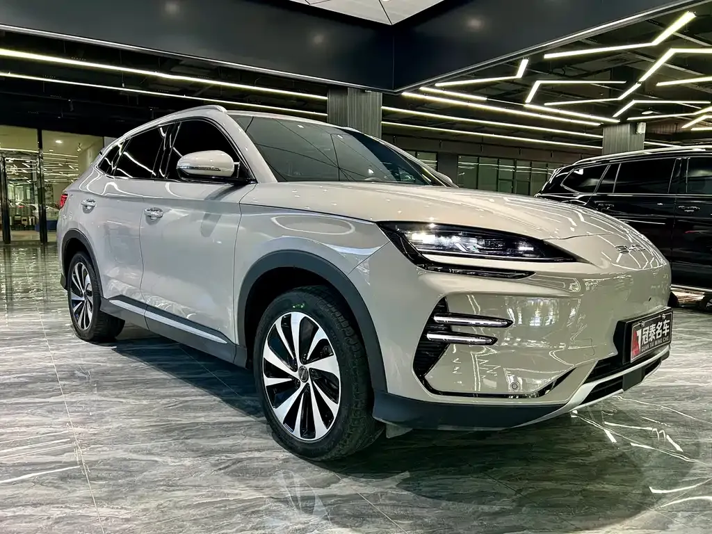 BYD PLUS New Energy 2023 из CN, фото 3
