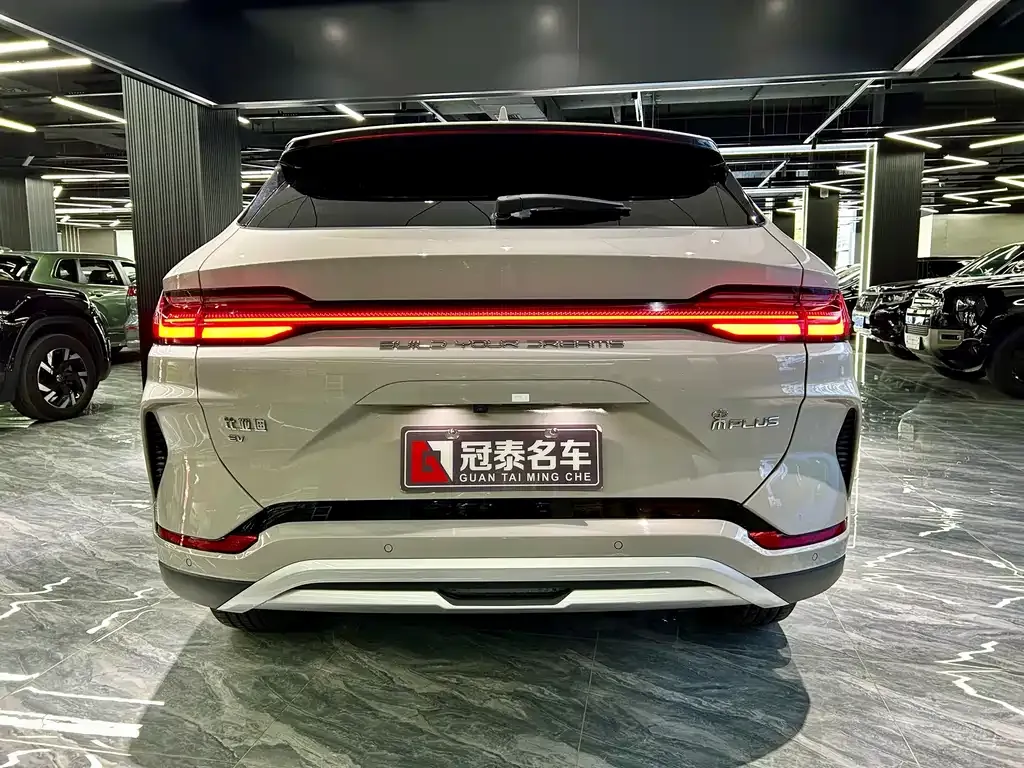 BYD PLUS New Energy 2023 из CN, фото 6