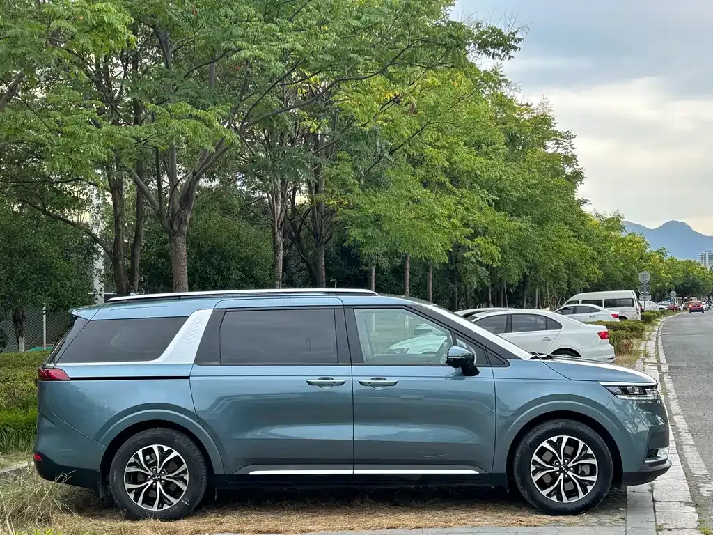 Kia Carnival 2022 из CN, фото 7