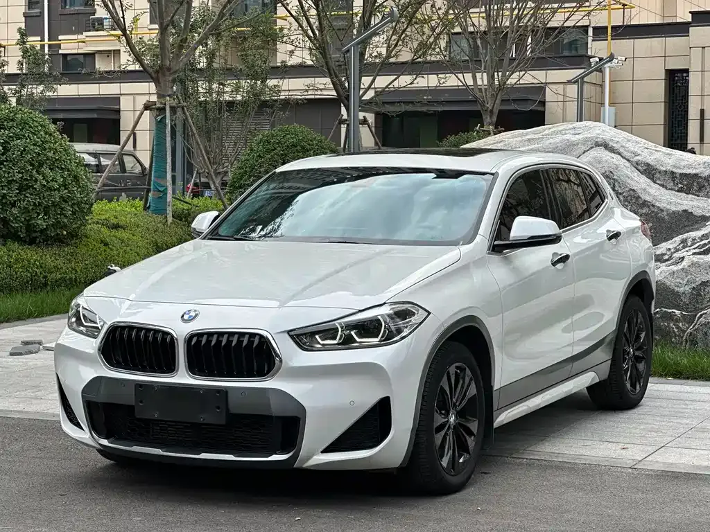 BMW X2 2022 из CN, фото 1