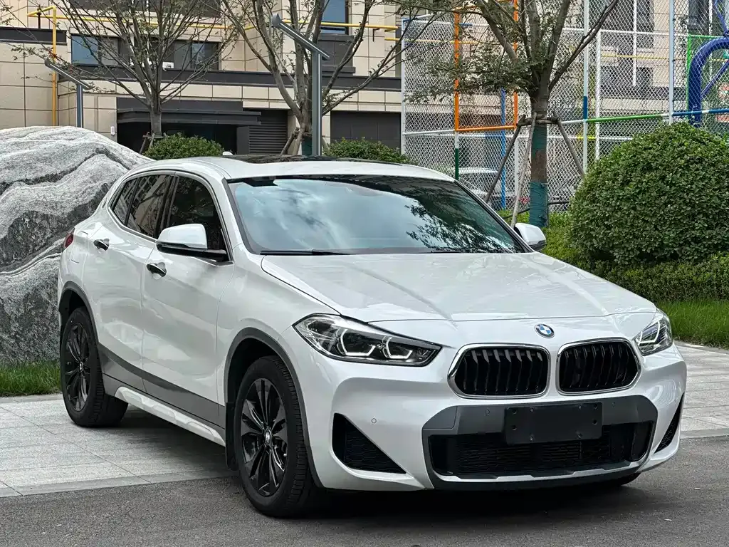 BMW X2 2022 из CN, фото 3