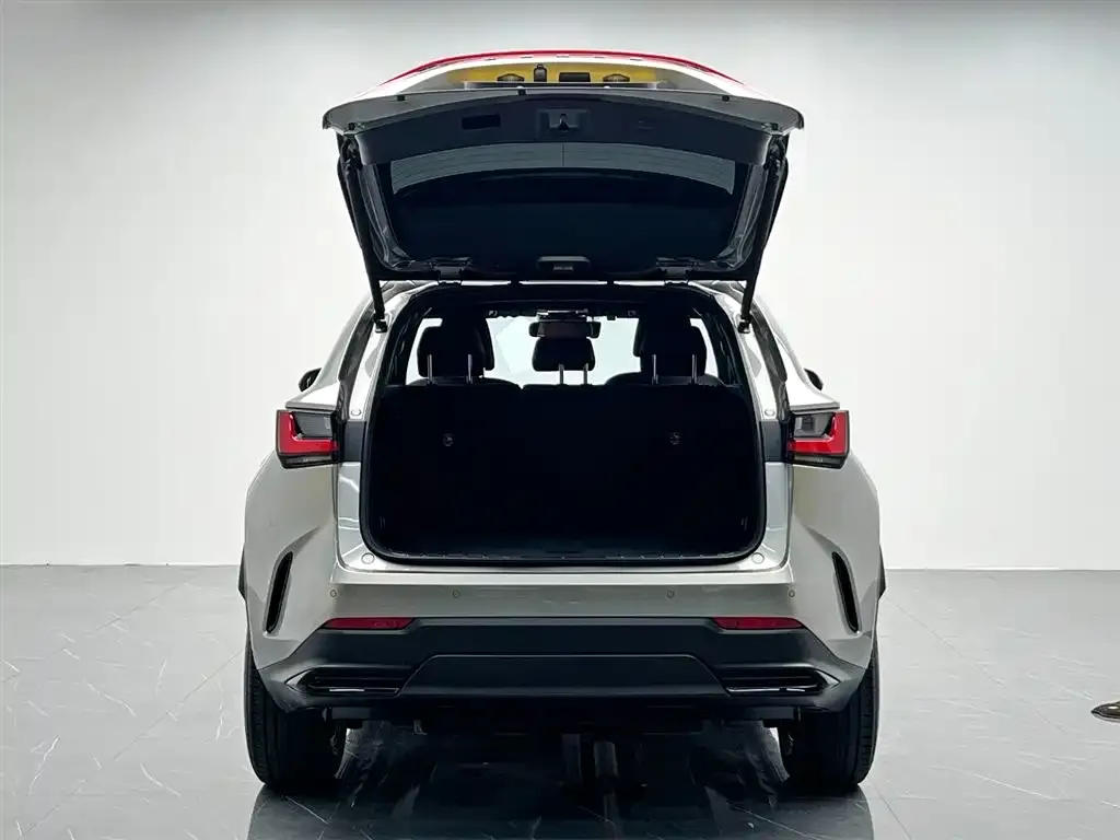 Lexus NX 2025 из CN, фото 10
