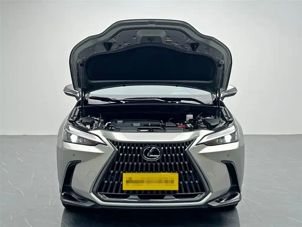 Lexus NX 2025 из CN, фото 9