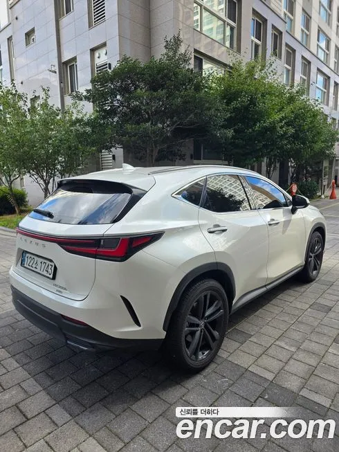 Lexus NX — фото 2