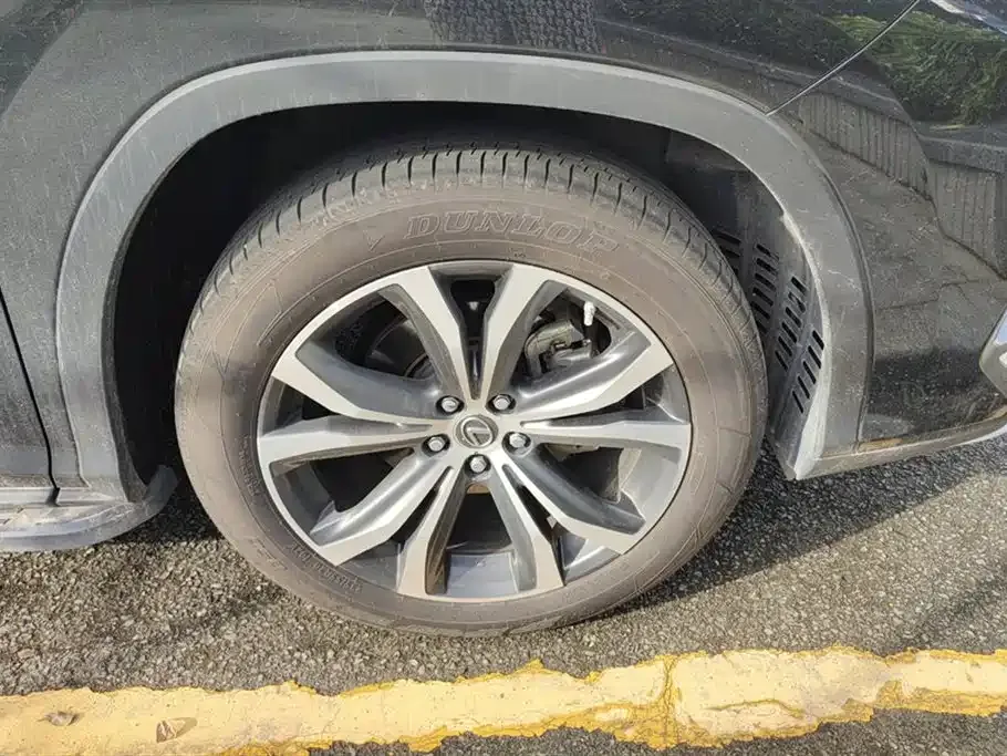 Lexus RX 2022 из CN, фото 6