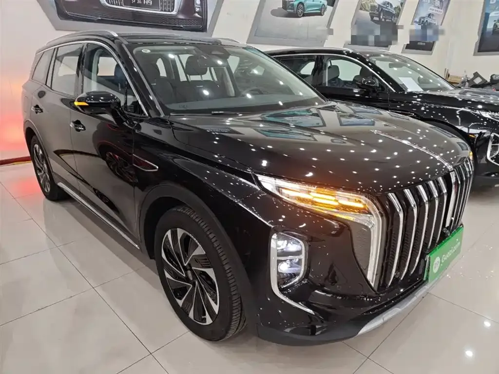 Hongqi HS7 PHEV 2024 из CN, фото 4