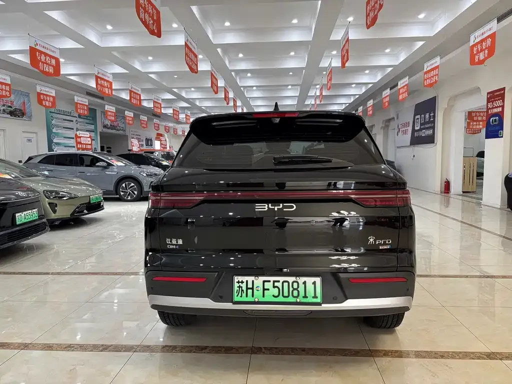 BYD Pro New Energy — фото 6
